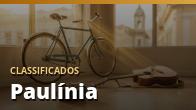 Classificados em Paulínia (019): Anuncie e Seja Encontrado na Região