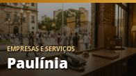 Contatos de Empresas e Serviços em Paulínia (DDD 019)
