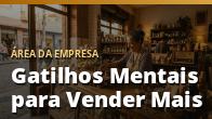 Gatilhos Mentais para Vender Mais (com Ética): o guia completo