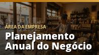 Planejamento Anual do Negócio: Metas, Orçamento e Calendário num Plano Único: o guia completo