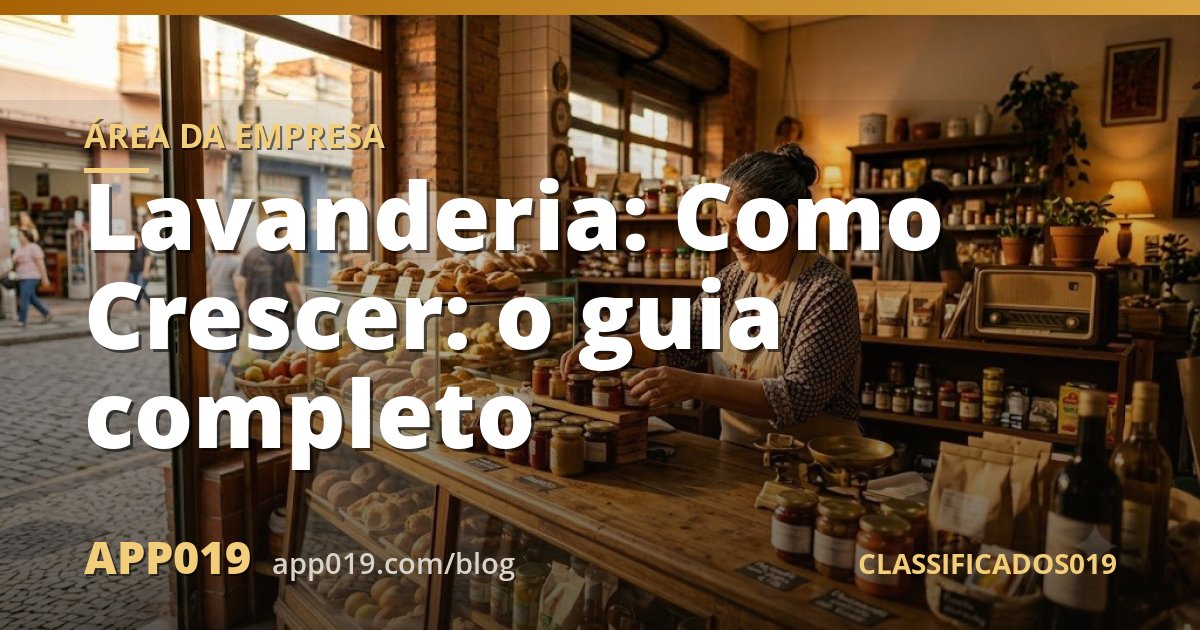 Lavanderia: Como Crescer: o guia completo