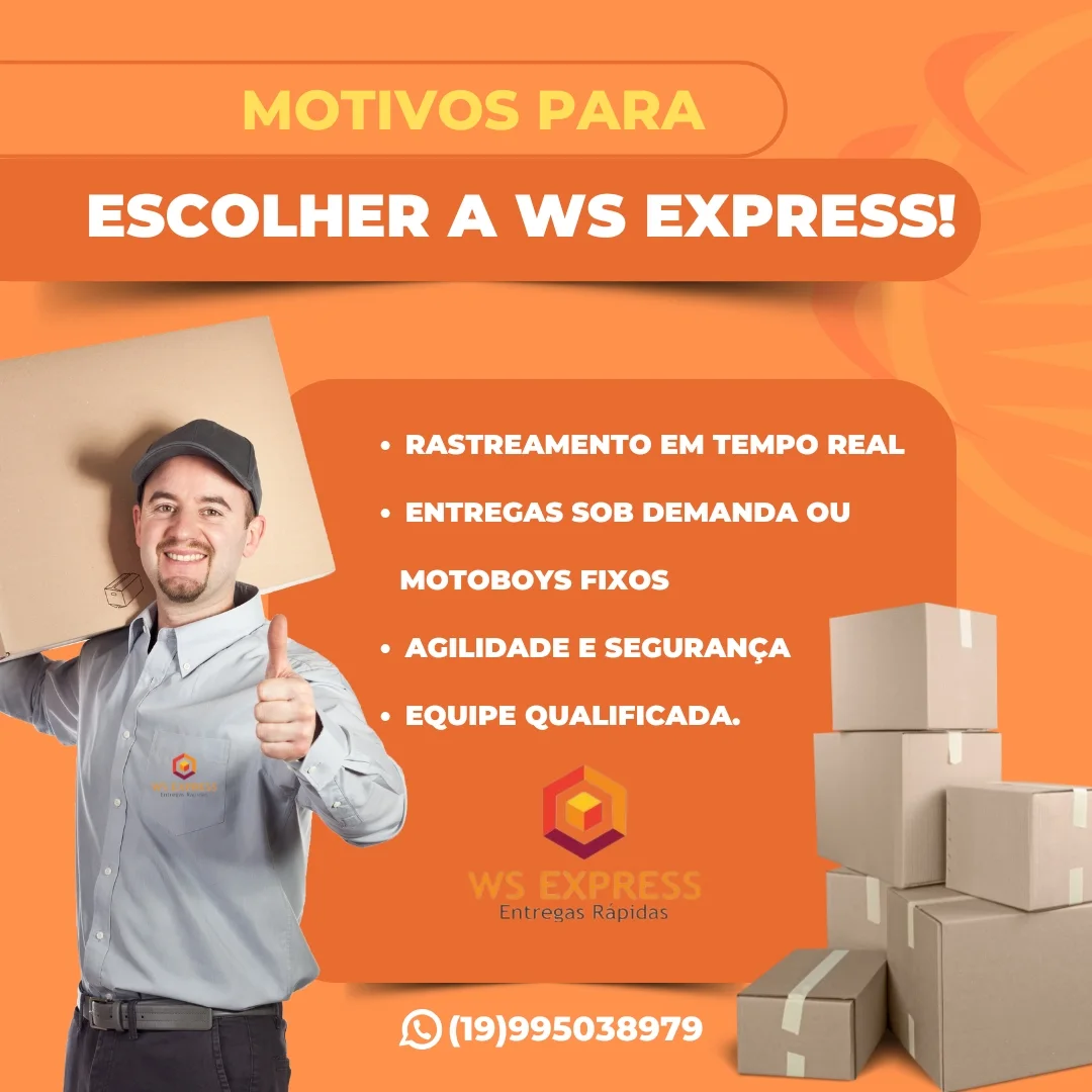 Arte da WS Express: motivos para escolher, rastreamento em tempo real e equipe qualificada